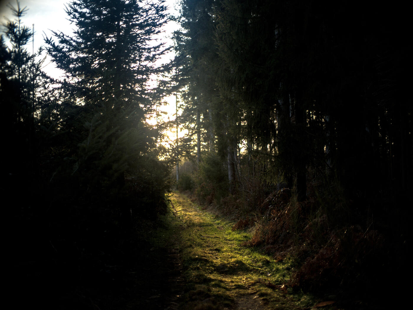 Untitled Untitled